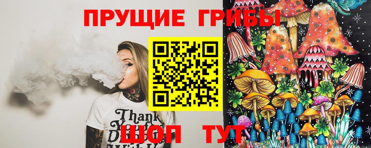 Псилоцибиновые грибы GOLDEN TEACHER  цены   Трёхгорный  Вход с VPN 
