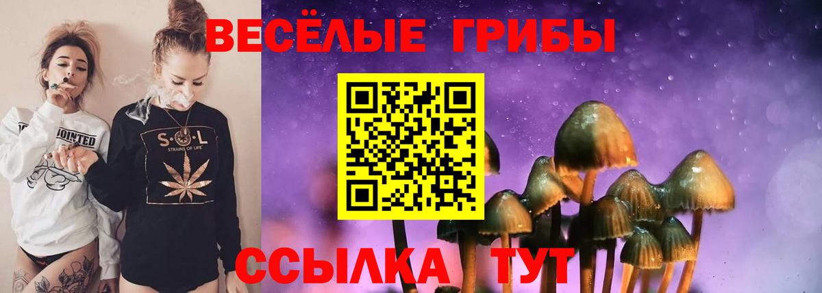 Галлюциногенные грибы мухоморы Трёхгорный